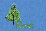 next